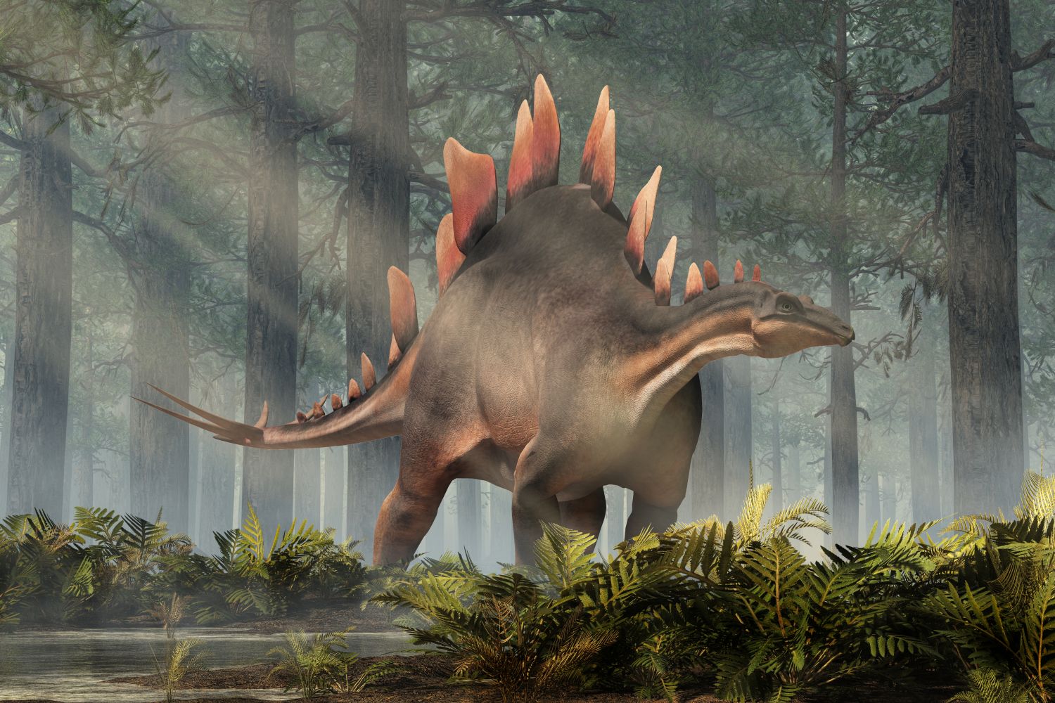 stegosaurus v pralese